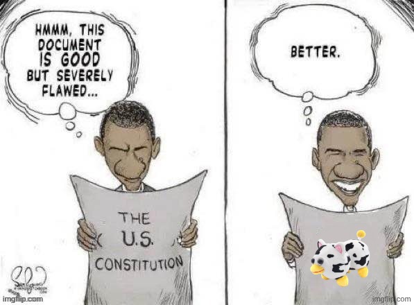 Obama Fixes Constitution | image tagged in obama fixes constitution | made w/ Imgflip meme maker