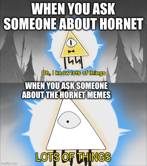 Yknow, the cloak ones… | When you ask someone about hornet; when you ask someone about the hornet memes | image tagged in lots of things | made w/ Imgflip meme maker