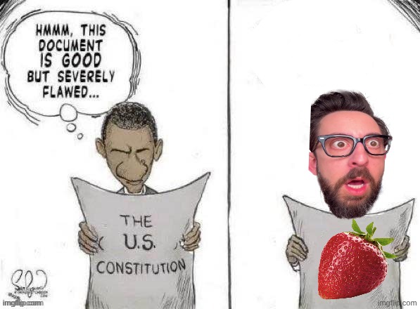 Obama Fixes Constitution | image tagged in obama fixes constitution | made w/ Imgflip meme maker