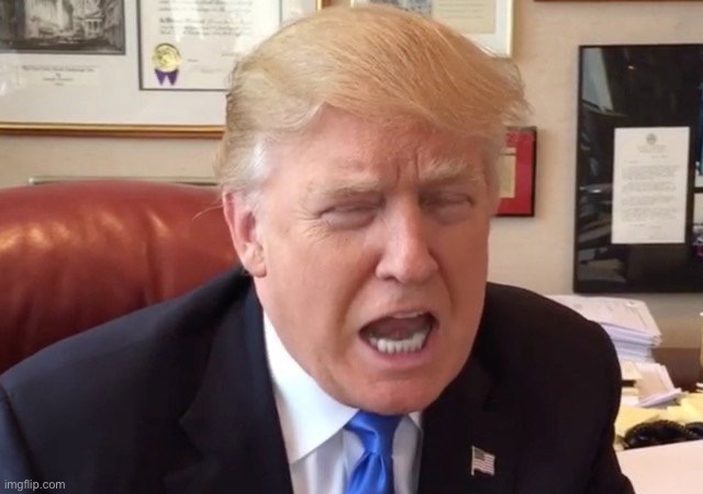 trump crying | image tagged in trump crying | made w/ Imgflip meme maker