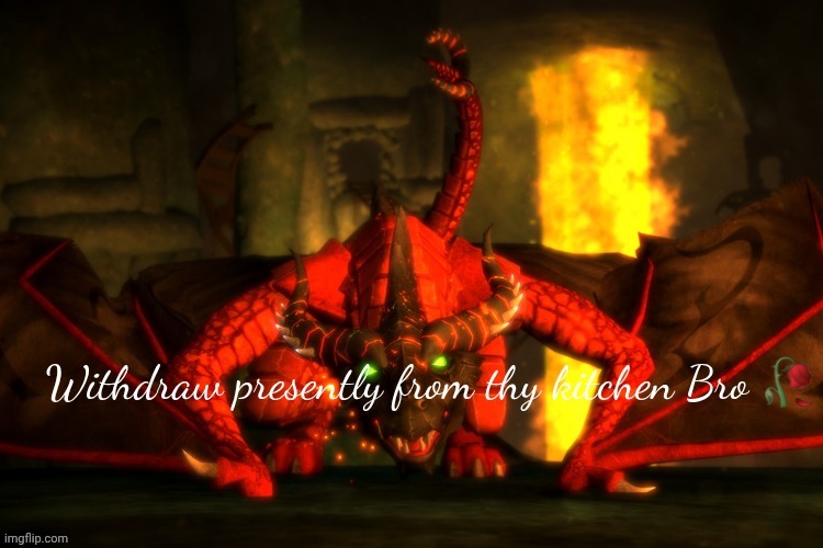 Withdraw presently from thy kitchen Bro | image tagged in withdraw presently from thy kitchen bro | made w/ Imgflip meme maker