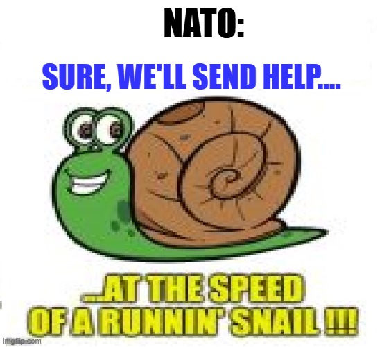 Nato speed | NATO:; Sure, We'll send help.... | image tagged in military humor | made w/ Imgflip meme maker