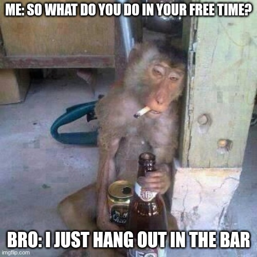 Drunken Ass monkey | me: so what do you do in your free time? bro: I just hang out in the bar | image tagged in drunken ass monkey | made w/ Imgflip meme maker