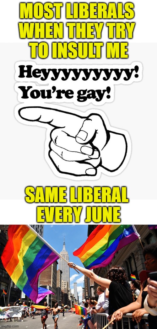 Most Liberals 
when they try 
to insult me; same liberal 
every june | image tagged in gay pride | made w/ Imgflip meme maker