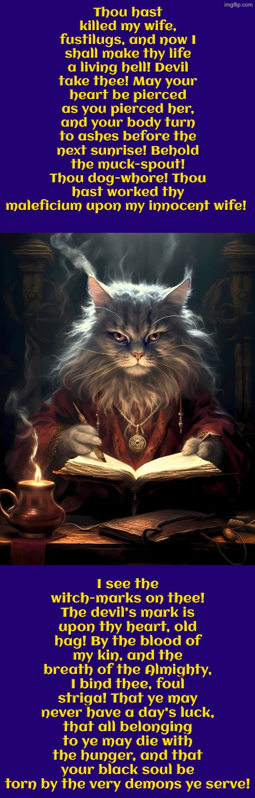 I Shall Make Thy Life A Living Hell | Thou hast killed my wife, fustilugs, and now I shall make thy life a living hell! Devil take thee! May your heart be pierced as you pierced her, and your body turn to ashes before the next sunrise! Behold the muck-spout! Thou dog-whore! Thou hast worked thy maleficium upon my innocent wife! I see the witch-marks on thee! The devil's mark is upon thy heart, old hag! By the blood of my kin, and the breath of the Almighty, I bind thee, foul striga! That ye may never have a day's luck, that all belonging to ye may die with the hunger, and that your black soul be torn by the very demons ye serve! | image tagged in cats,medieval memes,wizards,witches,cursed,funny cats | made w/ Imgflip meme maker