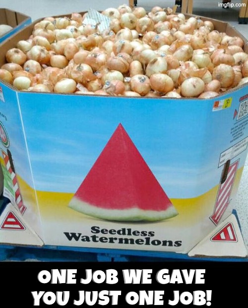 That's not seedless watermelon | One job we gave you just one job! | image tagged in you had one job,task failed successfully,watermelon,onions,do you are have stupid,duhhh dumbass | made w/ Imgflip meme maker