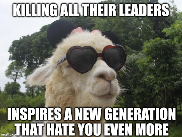 Killing all their leaders Inspires a new generation that hate you even more | image tagged in cool llama | made w/ Imgflip meme maker