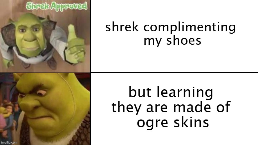 Shrek likes and dislikes | shrek complimenting
 my shoes; but learning they are made of
 ogre skins | image tagged in shrek likes and dislikes | made w/ Imgflip meme maker