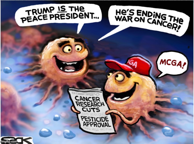 The real constituency | image tagged in trump,disease,disaster,war,idiocracy | made w/ Imgflip meme maker