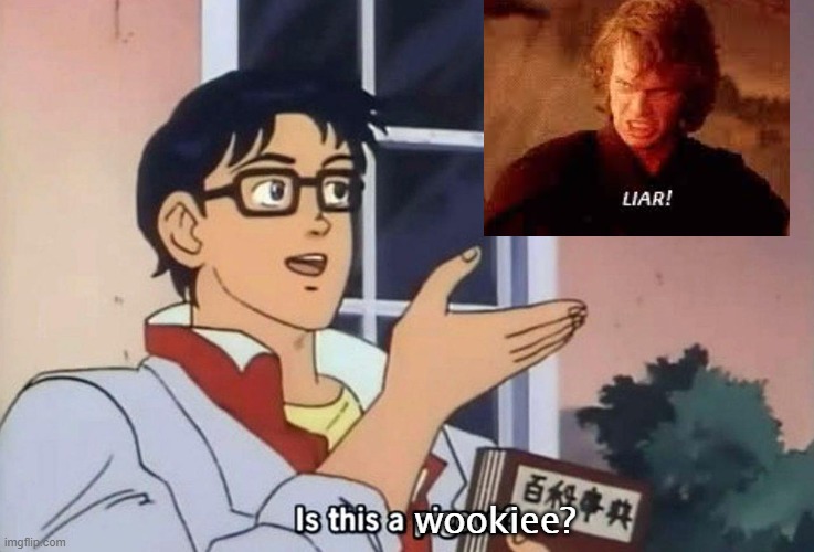 Is This A Pigeon (subtitled) | wookiee? | image tagged in is this a pigeon subtitled | made w/ Imgflip meme maker