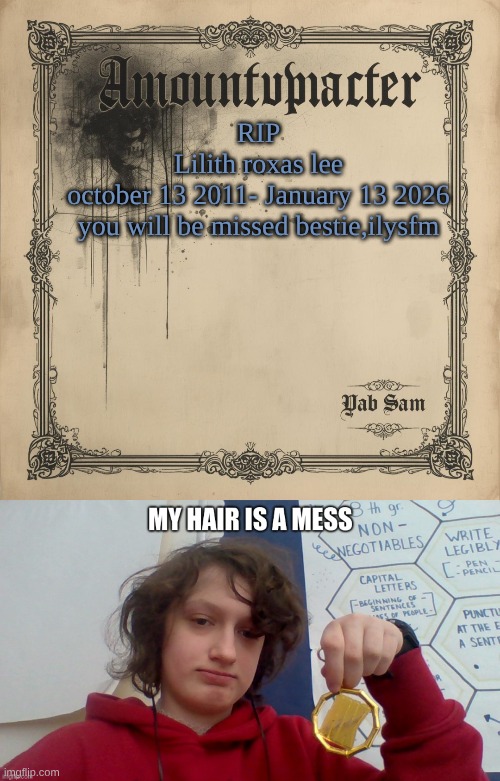 RIP
Lilith roxas lee
october 13 2011- January 13 2026
you will be missed bestie,ilysfm | image tagged in sams luxembourgish temp 3 | made w/ Imgflip meme maker