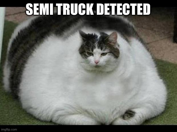 fat cat 2 | Semi truck detected | image tagged in fat cat 2 | made w/ Imgflip meme maker