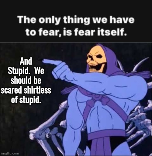 Fear stupidity too | And Stupid.  We should be scared shirtless of stupid. | image tagged in skeletor,motivational | made w/ Imgflip meme maker