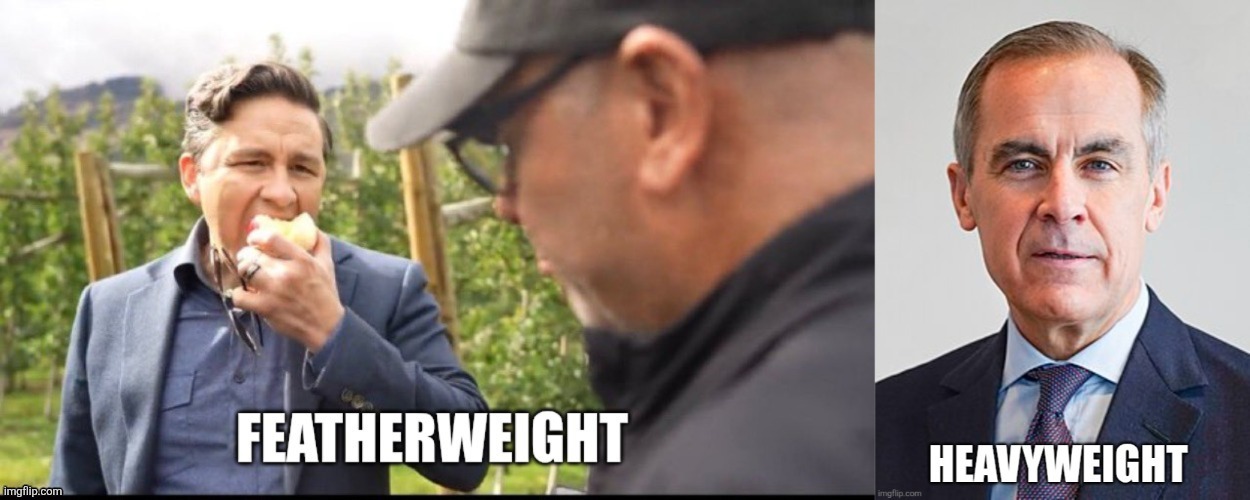 Canadian politics | image tagged in political meme | made w/ Imgflip meme maker