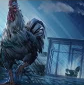 Rooster Fighter Blank Meme Template