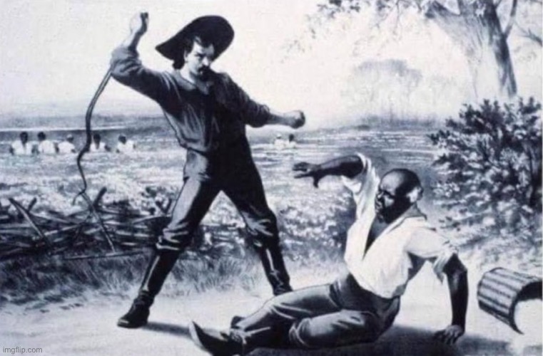 whip slave | image tagged in whip slave | made w/ Imgflip meme maker