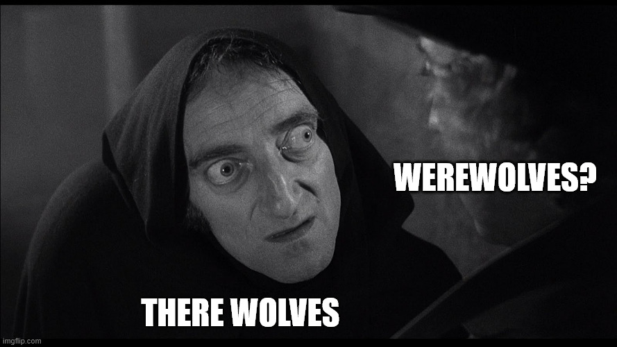 young frankenstein igor | werewolves? there wolves | image tagged in young frankenstein igor | made w/ Imgflip meme maker