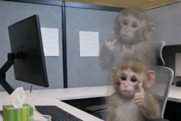 Monkey work Blank Meme Template