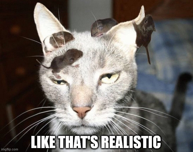Cat and mouse | like that's realistic | image tagged in cat and mouse | made w/ Imgflip meme maker