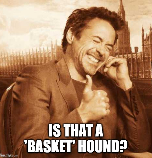 LAUGHING THUMBS UP | Is that a 'basket' hound? | image tagged in laughing thumbs up | made w/ Imgflip meme maker