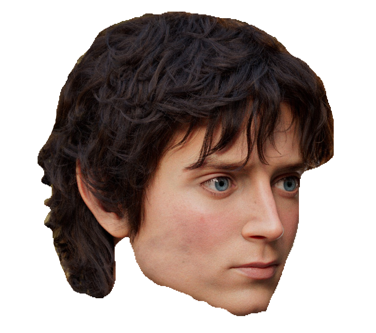 Frodo Baggins Blank Meme Template