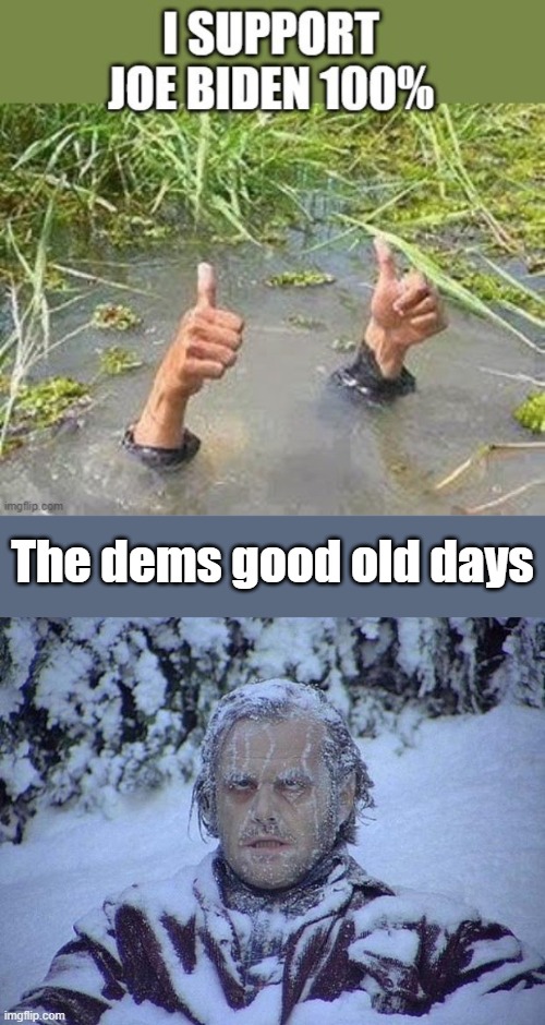 #1 US traitor thru borders open flooded US with 15 million criminal illegals. | The dems good old days | image tagged in memes,jack nicholson the shining snow | made w/ Imgflip meme maker