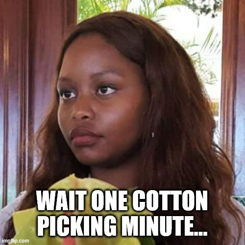 Annoyed black woman | Wait one cotton picking minute... | image tagged in annoyed black woman | made w/ Imgflip meme maker