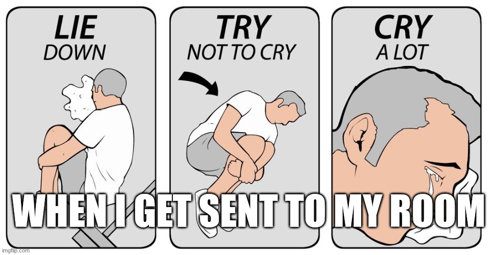 try not to cry | when i get sent to my room | image tagged in try not to cry | made w/ Imgflip meme maker