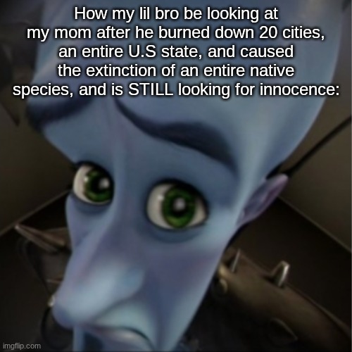 Lil bro | How my lil bro be looking at my mom after he burned down 20 cities, an entire U.S state, and caused the extinction of an entire native species, and is STILL looking for innocence: | image tagged in megamind peeking | made w/ Imgflip meme maker