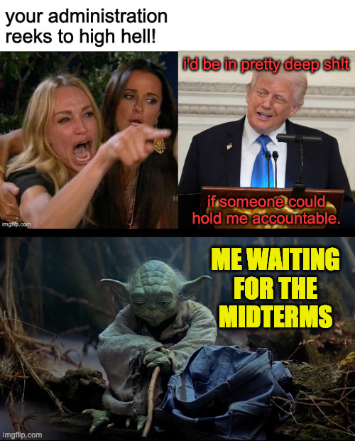 Somebody has to go to jail. | me waiting
for the
midterms | image tagged in memes,woman yelling at a dirtbag,yoda waiting | made w/ Imgflip meme maker