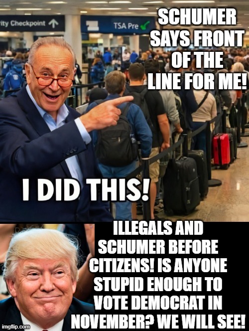 Thanks, President Trump, for making an executive decision!! Schumer and Democrats are evil!! | image tagged in donald trump approves | made w/ Imgflip meme maker