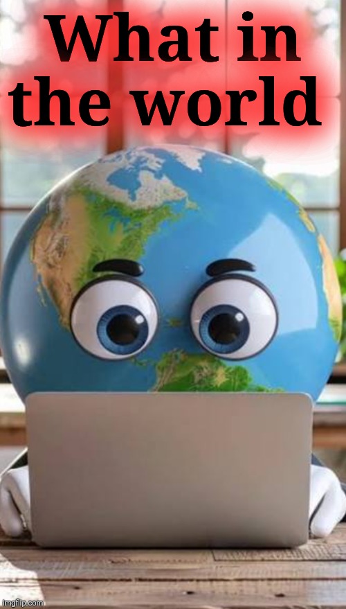 What in the world | made w/ Imgflip meme maker