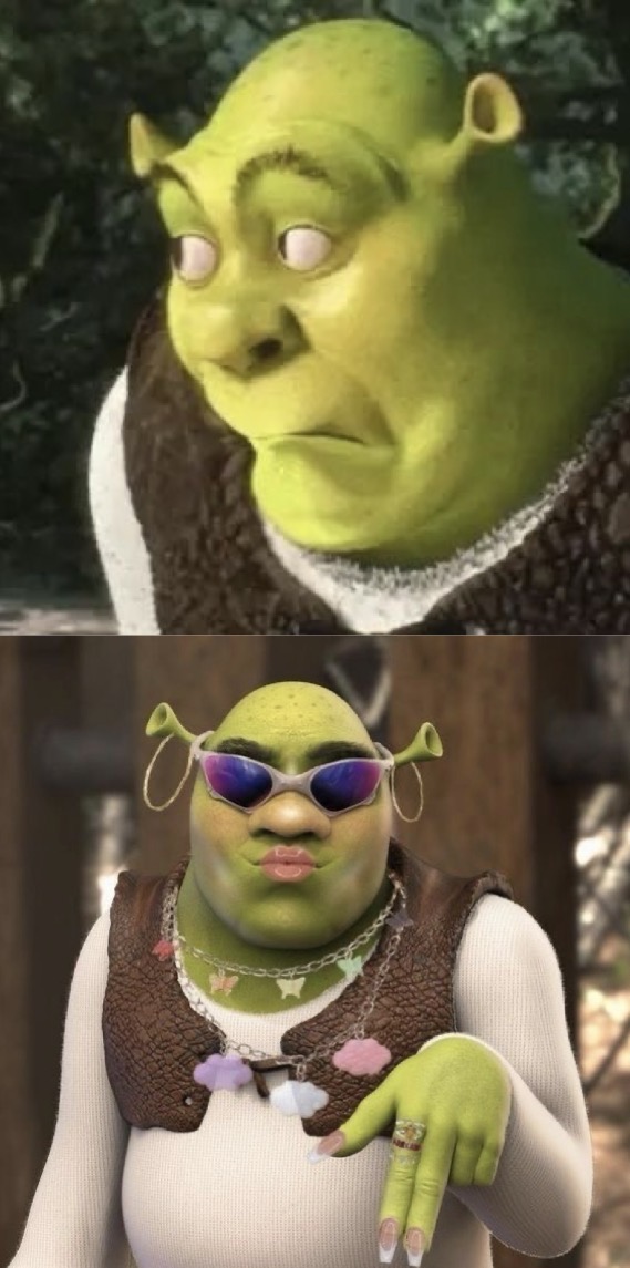 Shrek Blank Meme Template