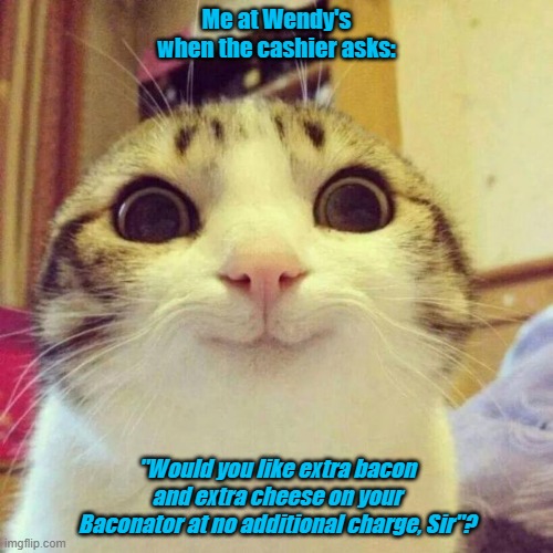 Smiling Cat Meme | Me at Wendy's when the cashier asks:; "Would you like extra bacon and extra cheese on your Baconator at no additional charge, Sir"? | image tagged in memes,smiling cat | made w/ Imgflip meme maker