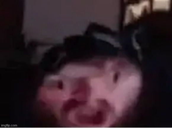 this entire streams humor is fucked | image tagged in brainlet caseoh | made w/ Imgflip meme maker