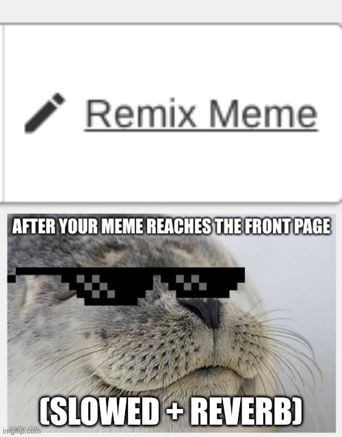 remix | (slowed + Reverb) | image tagged in satisfied seal,sunglasses,funny,remix | made w/ Imgflip meme maker