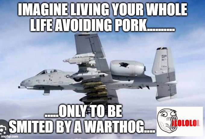 Islam doesn't eat pork? | Imagine living your whole life avoiding pork.......... .....Only to be smited by a Warthog.... | image tagged in a10 warthog,funny,funny memes,america,screw islam | made w/ Imgflip meme maker