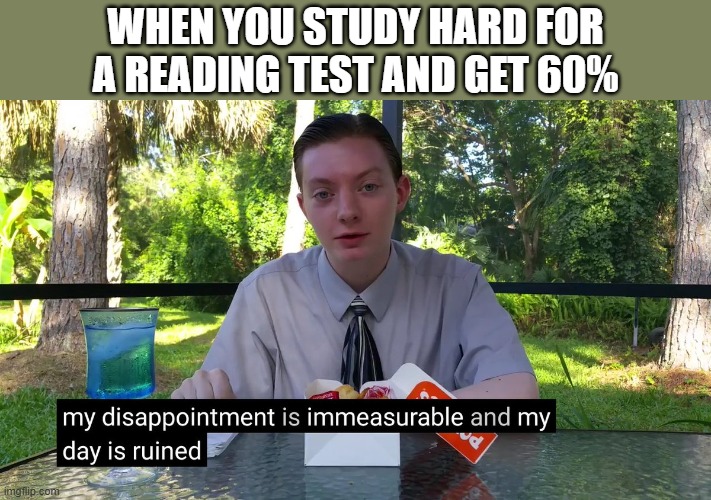 This happened in fifth grade. (Until then, I had never scored below a B.) | When you study hard for
a reading test and get 60% | image tagged in memes,my disappointment is immeasurable,study,test,fail,school | made w/ Imgflip meme maker