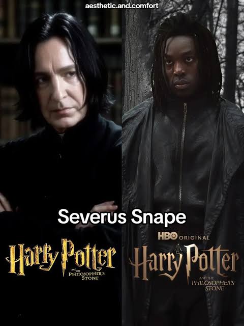 Harry potta Blank Meme Template