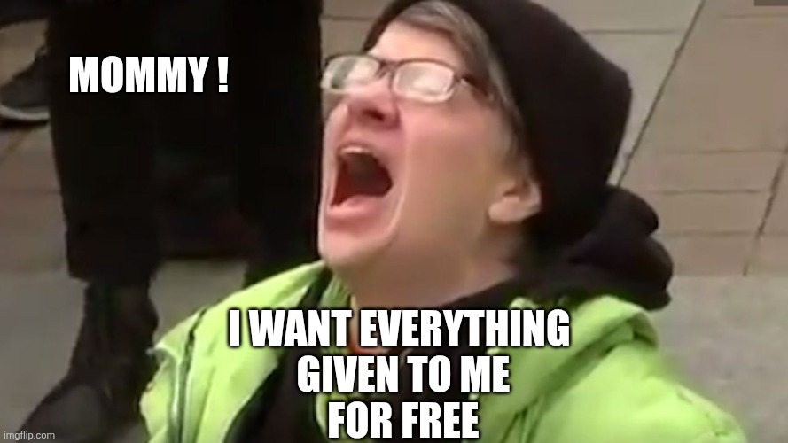 Screaming Liberal  | Mommy ! I want everything
 given to me
 for free | image tagged in screaming liberal | made w/ Imgflip meme maker