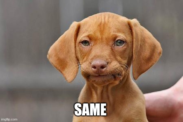 same | image tagged in dissapointed puppy | made w/ Imgflip meme maker
