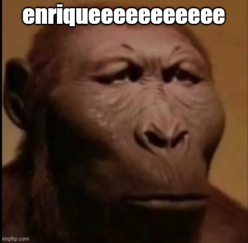 Enrique | enriqueeeeeeeeeee | image tagged in enrique | made w/ Imgflip meme maker