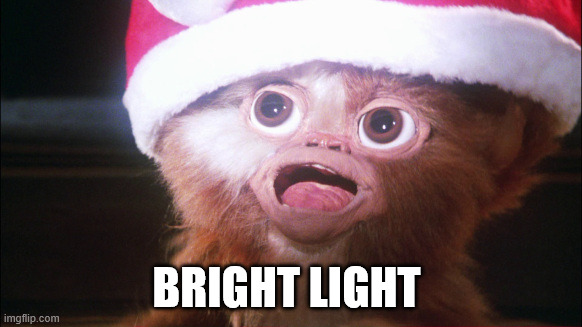 Mogwai bright lights | Bright Light | image tagged in mogwai bright lights | made w/ Imgflip meme maker