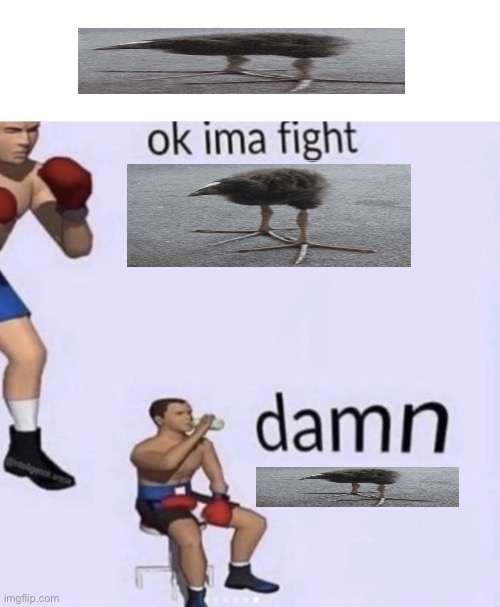 Bird | image tagged in damn got hands,bird,funny meme | made w/ Imgflip meme maker