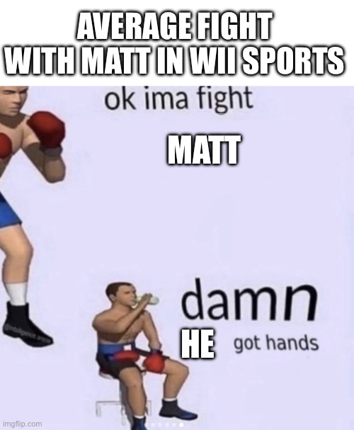 Im not ready bro | Average fight with Matt in Wii sports; Matt; He | image tagged in damn got hands,wii sports,boxing | made w/ Imgflip meme maker