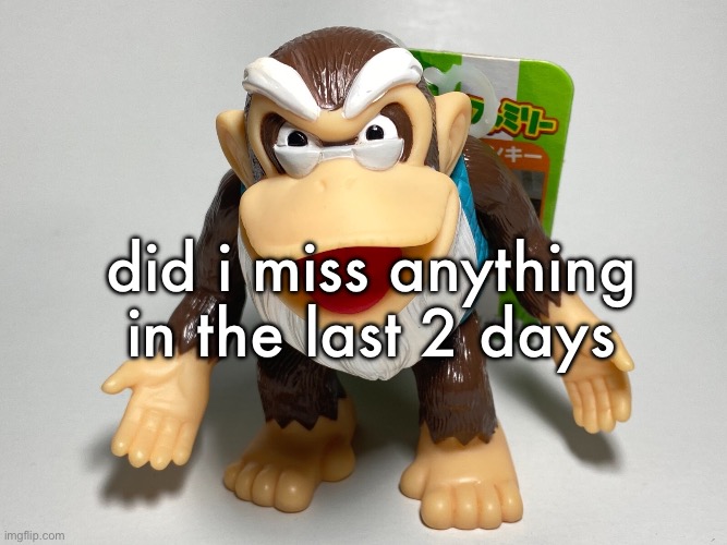 cranky kong | did i miss anything in the last 2 days | image tagged in cranky kong | made w/ Imgflip meme maker