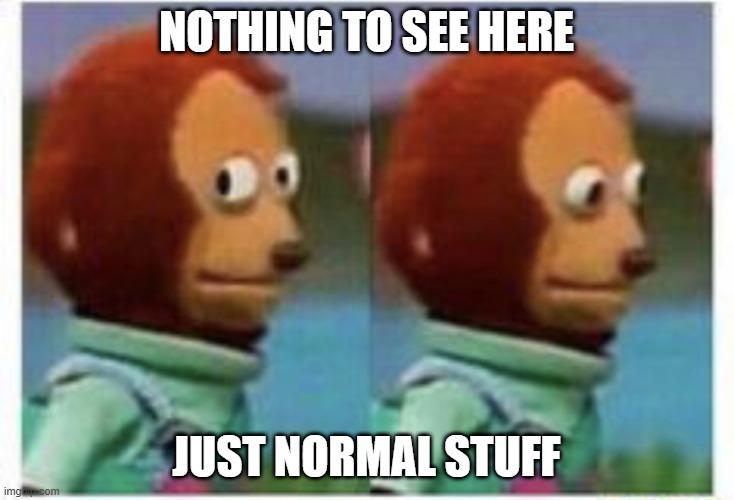 Nothing to See Here | Nothing to see here; Just normal stuff | image tagged in side eye teddy | made w/ Imgflip meme maker