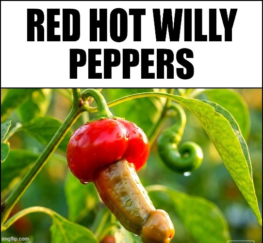 Give It Away Give It Away Now | image tagged in red hot chili peppers | made w/ Imgflip meme maker
