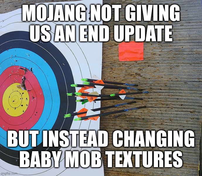 Missed the target  | Mojang not giving us an end update; But instead changing baby mob textures | image tagged in missed the target | made w/ Imgflip meme maker