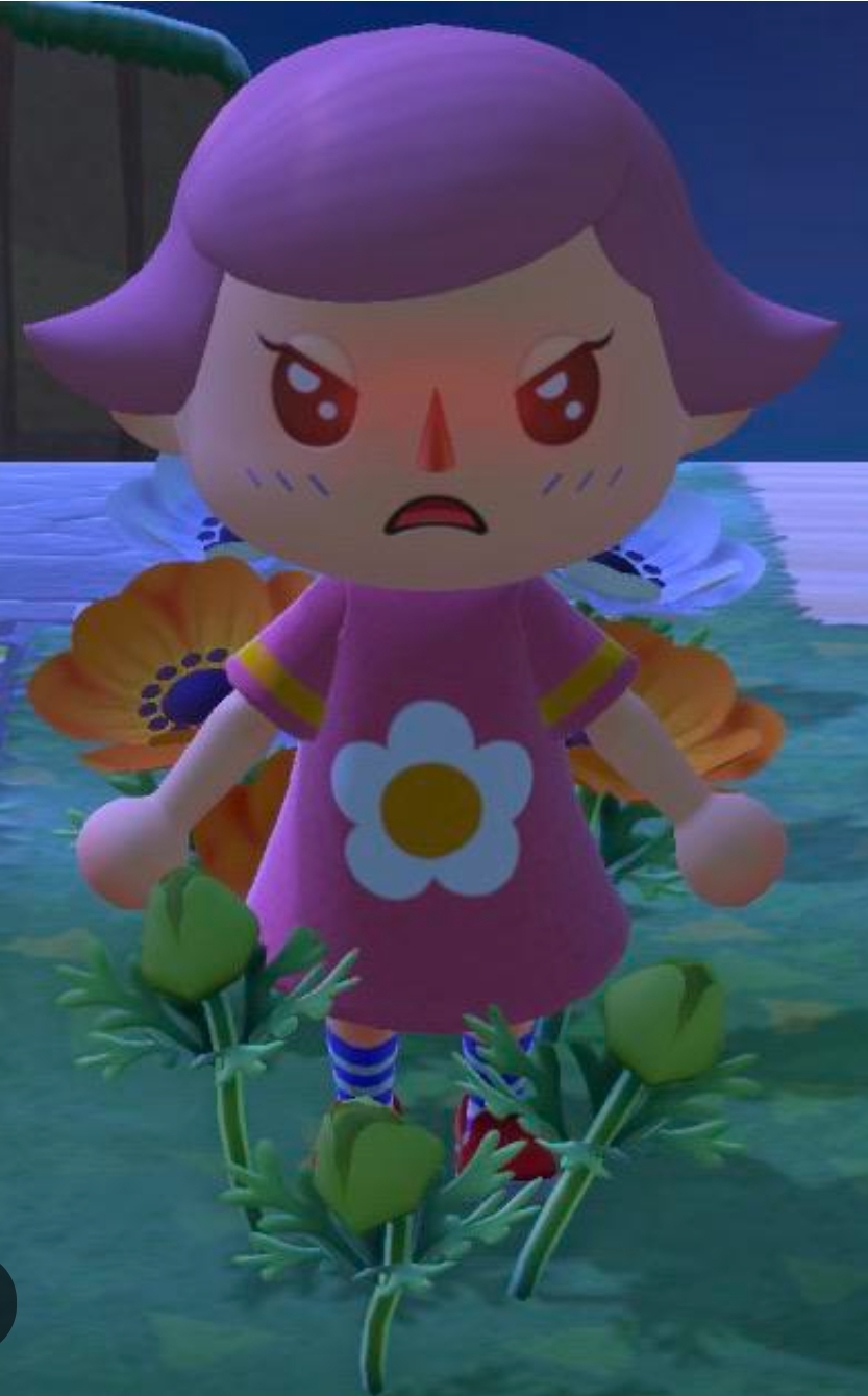 Dumb flower!! Blank Meme Template